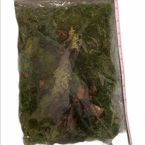 Moss kit, Reindeer moss by Ashland
